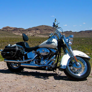 Meet your Posher, Chad